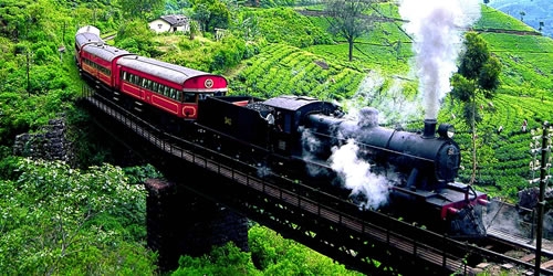 Hill Country Tours - Discover Lanka Tours