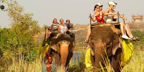 Nature Tour - Discover Lanka Tours