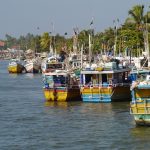 530938 fishing boats in the harbour negombo