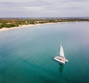 ugaescapes destination banner 800x750 1