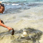 wanderers warriors charlie lauren uk travel couple wild hikkaduwa turtles at hikkaduwa beach sri lanka